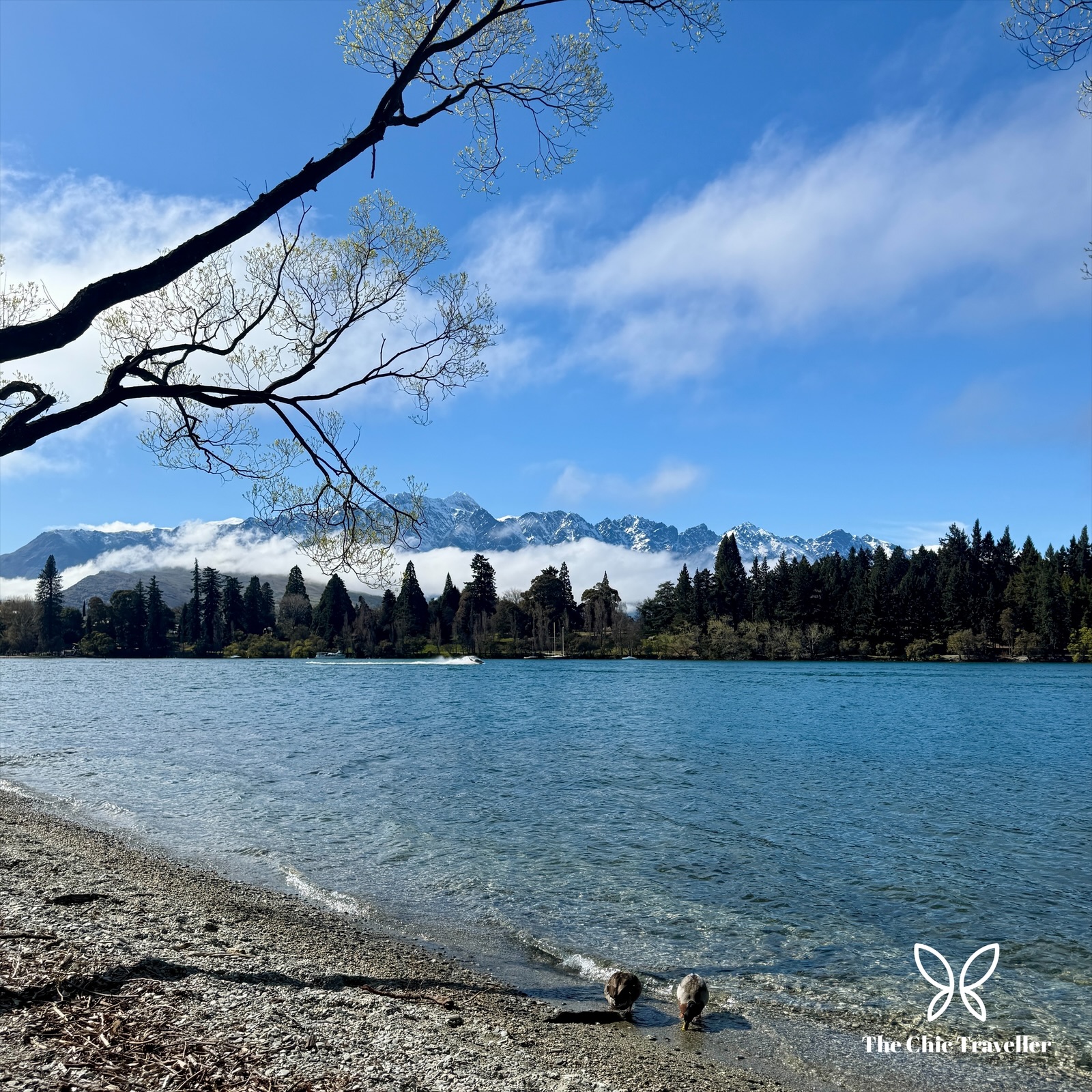 4 Incredible Days in Queenstown