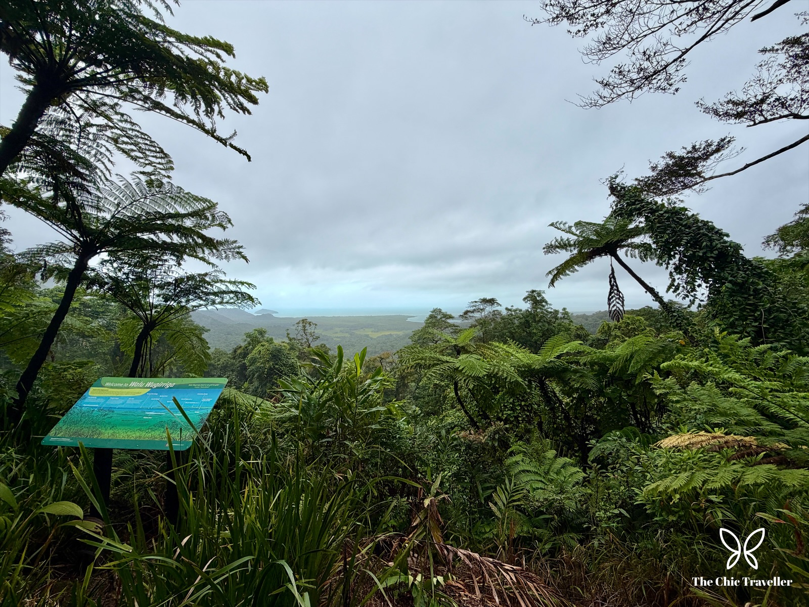Port Douglas and Daintree Rainforest: A Family Escape to Tropical North Queensland